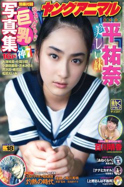 加油吧实习生 电视剧